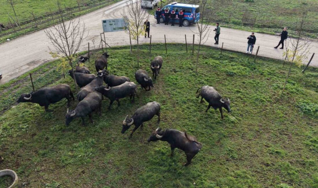 Düzce İl Tarım ve Orman Müdürlüğü ile İl Özel İdaresi
