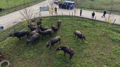 Düzce İl Tarım ve Orman Müdürlüğü ile İl Özel İdaresi