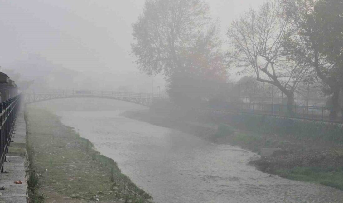 DÜZCE(İHA) – Düzce’de kış mevsimi ile birlikte siste etkili oluyor.