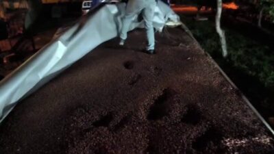 Fındıkla kamufle edilmeye çalışan dorseden gümrüklenmiş piyasa değeri 30 milyon