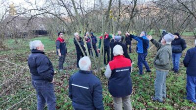 DÜZCE(İHA) – Düzce’de Tarım ve Orman Müdürlüğü tarafından fındık budama