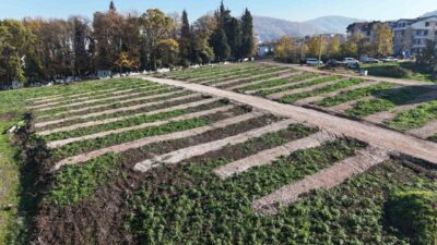 17 Ağustos Mezarlığı’nın dolmasıyla birlikte Gölcük ilçesinde ortaya çıkan mezarlık