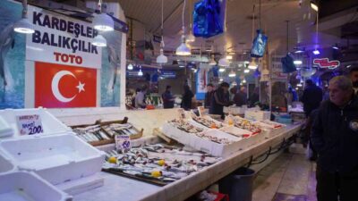 Hava sıcaklıklarının mevsim normallerinin üzerinde seyretmesi ve hamsinin rotasını Gürcistan