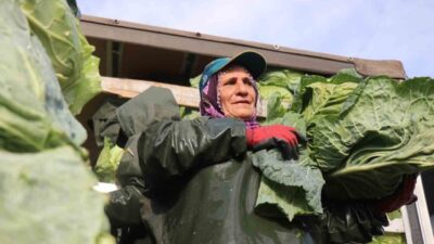 Sakarya’da pazar ve market tezgahlarında yer alan sebze ile meyveleri