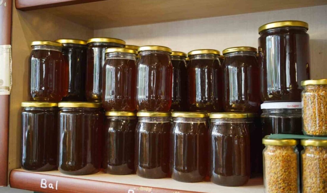 Sakarya’da soğuk havaların etkisiyle hastalıklardan korunmak isteyen vatandaşlar aktarlara yöneldi.