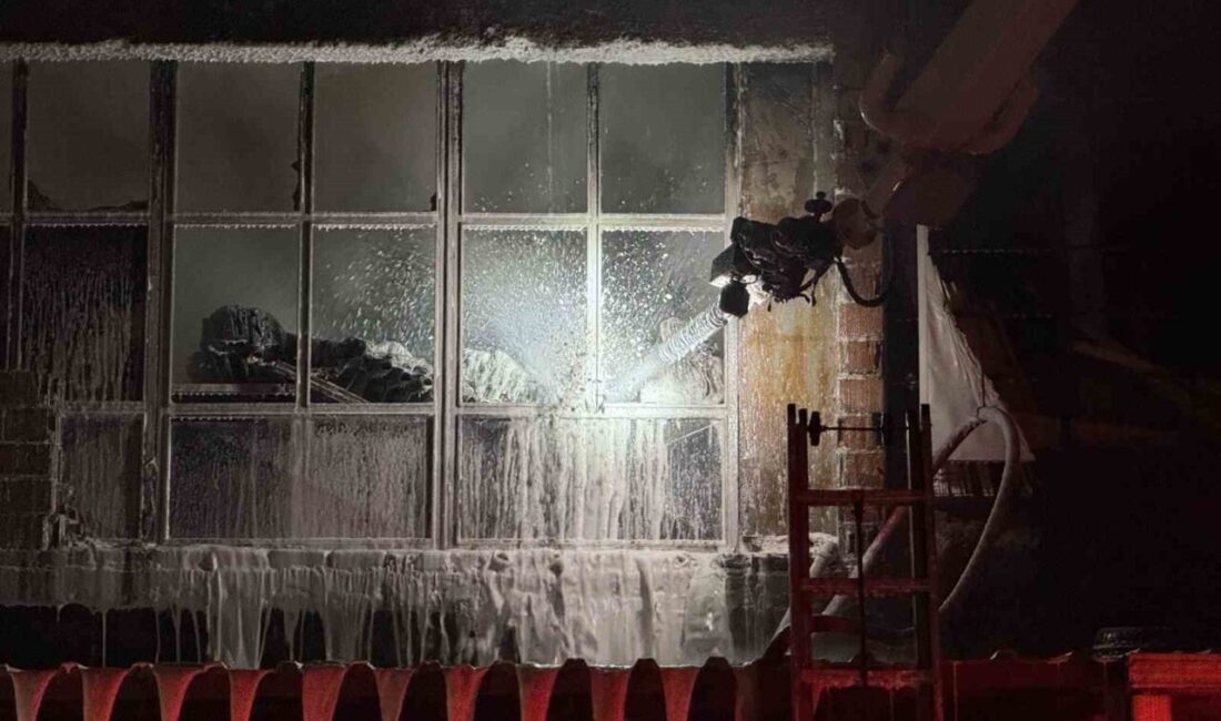 Sakarya’nın Arifiye ilçesinde bulunan bir hırdavat dükkanı alevlere teslim oldu.