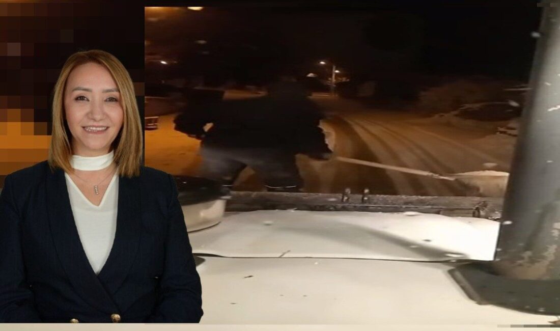 Kar yağışıyla birlikte Pazaryeri Belediyesi sahaya indi Bilecik’in Pazaryeri ilçesinde etkili olan kar yağışının ardından Pazaryeri Belediyesi