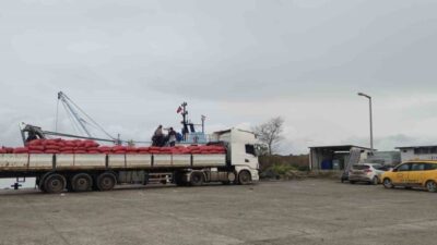 Kastamonu’nun İnebolu ilçesinden çıkartılan beyaz kum midyeleri, ekipler tarafından denetleniyor.