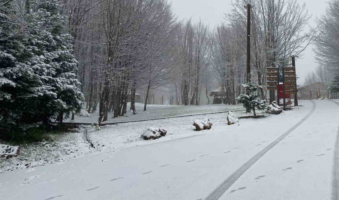 Kartepe’ye lapa lapa kar yağıyor Kocaeli’nin Kartepe ilçesinin yüksek kesimlerine lapa lapa kar yağıyor. Meteoroloji