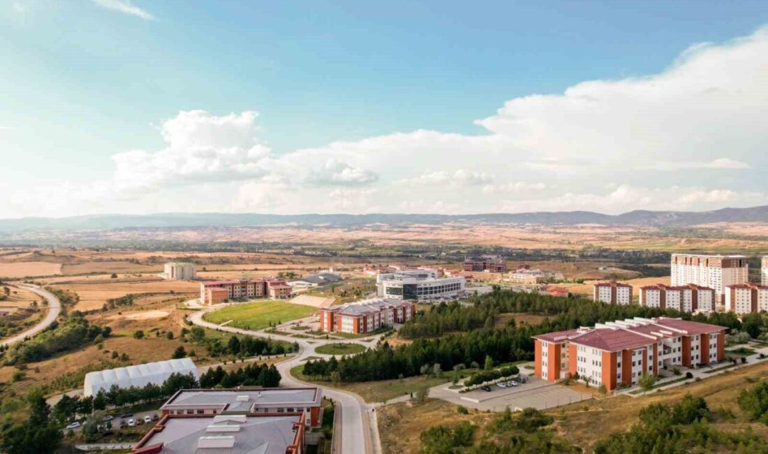 Kastamonu Üniversitesi’nin hak sahipliğinde hazırlanan “Vidalama Tork Değeri Artırılmış Kayın