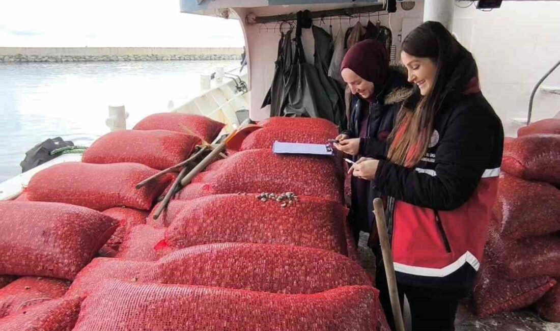 Kastamonu’nun İnebolu ilçesinde Evrenye Balıkçı Barınağı’nda karaya çıkartılan beyaz kum