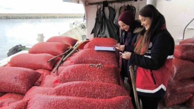 Kastamonu’nun İnebolu ilçesinde Evrenye Balıkçı Barınağı’nda karaya çıkartılan beyaz kum