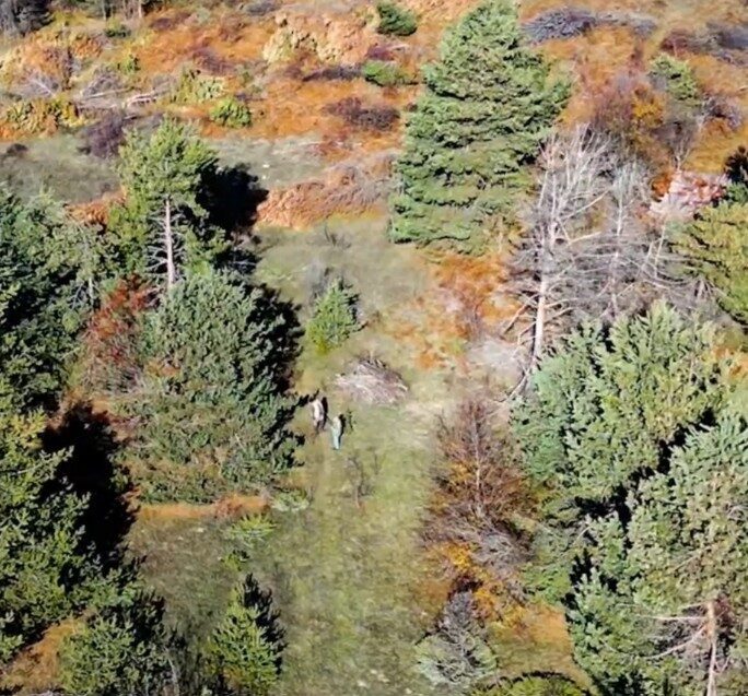 Kastamonu Doğa Koruma ve Milli Parklar Müdürlüğü ekipleri tarafından yürütülen