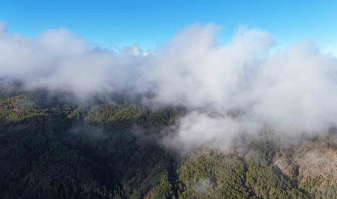 Kastamonu’da sis bulutları ve ormanların buluşması mest etti Kastamonu’nun İhsangazi ilçesinde sis bulutları ve ormanların buluşması ortaya kartpostallık