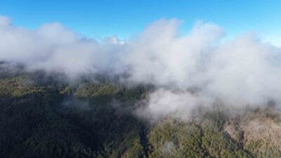 Kastamonu’nun İhsangazi ilçesinde sis bulutları ve ormanların buluşması ortaya kartpostallık