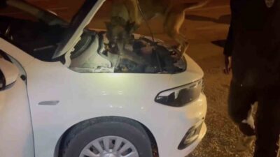 Kastamonu’da 2 araçta ele geçirilen uyuşturucuyla ilgili gözaltına alınan 5