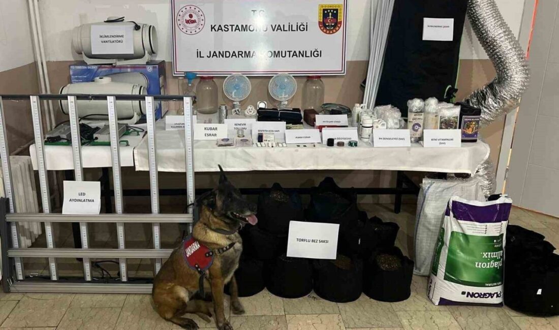 Kastamonu’da uyuşturucu operasyonu: 6 gözaltı Kastamonu’da jandarma ekipleri tarafından gerçekleştirilen uyuşturucu operasyonlarında 6 şüpheli gözaltına