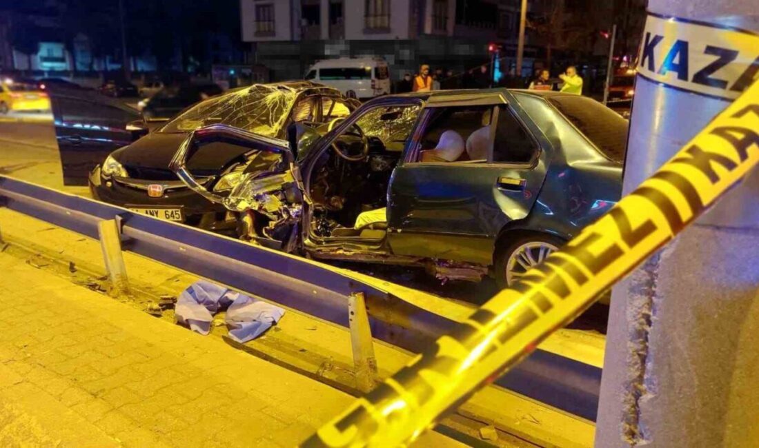 Kazada hayatını kaybeden 29 yaşındaki genç, son yolculuğuna uğurlandı Sakarya’nın Hendek ilçesi D-100 kara yolunda iki otomobilin çarpışması neticesinde