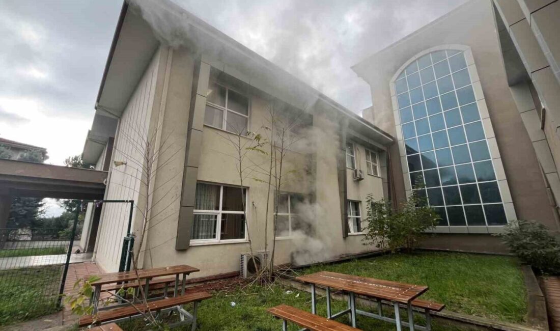 Kocaeli’nin Derince ilçesinde bir ilkokulun bodrum katındaki kağıt deposunda çıkan