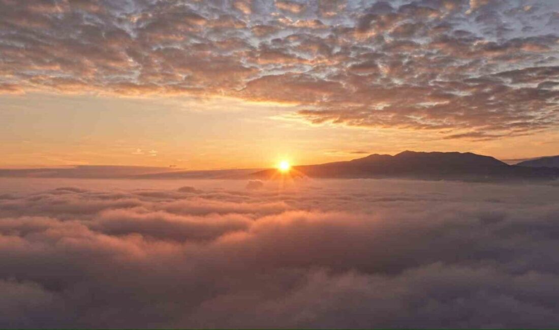 Kocaeli’de sabah saatlerinden itibaren etkili olan yoğun sis, özellikle kentin