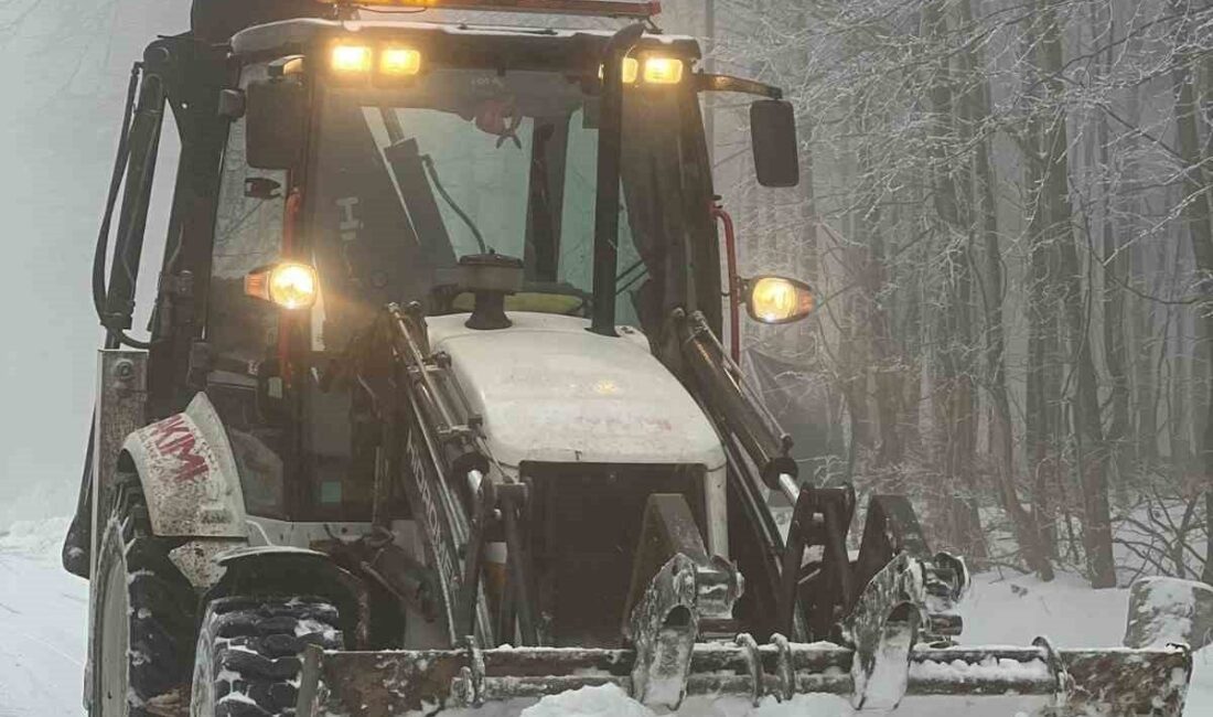 Kocaeli’de yüksek kesimlerde kar yağışı etkisini sürdürürken, vatandaşlar karın keyfini