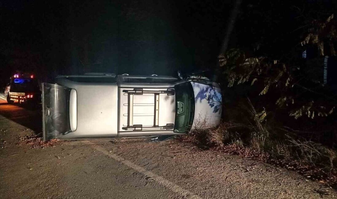 Kontrolden çıkan pikap PTS direğine çarptı Bilecik’te seyir halinde kontrolden çıkan pikap Plaka Tanıma Sistemi (PTS)