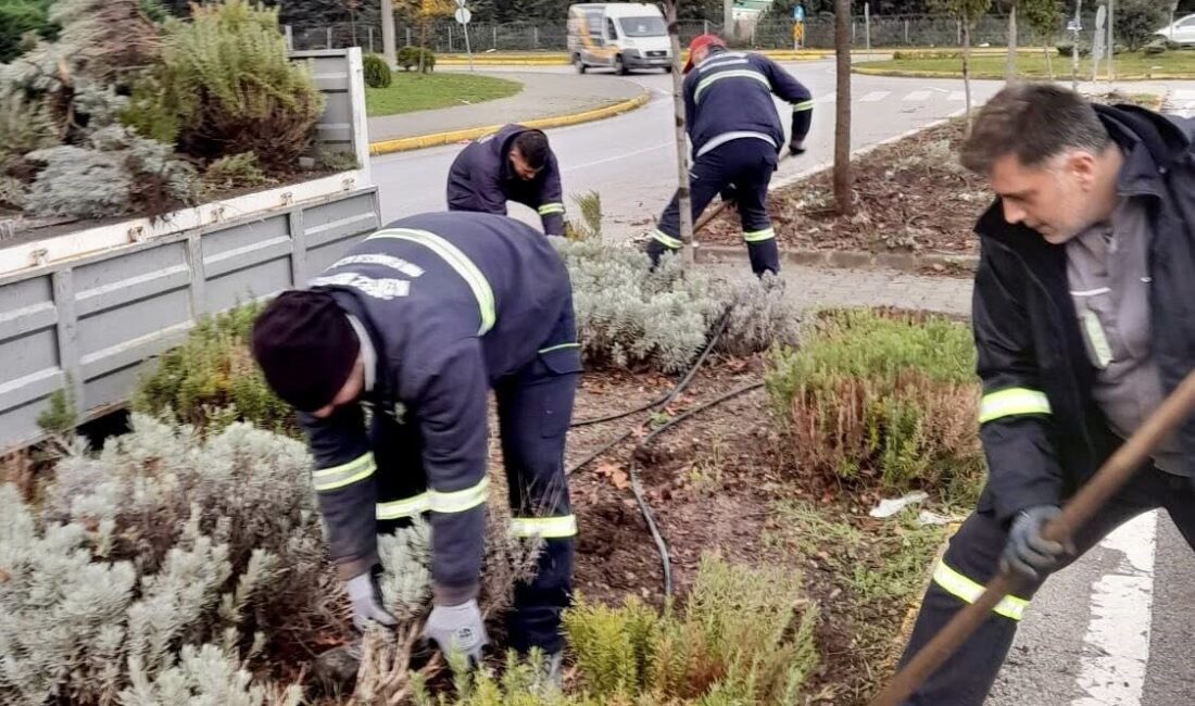 Körfez’de kentin estetik görünümünü korumak ve yeşil alanları daha canlı