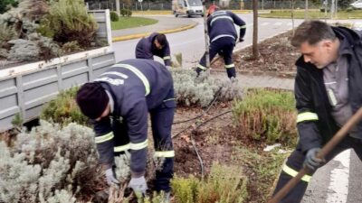 Körfez’de kentin estetik görünümünü korumak ve yeşil alanları daha canlı