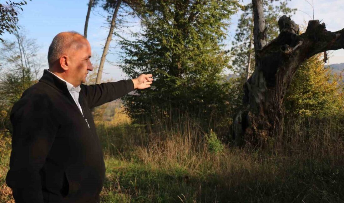 Sakarya’nın Kocaali ilçesinde yaklaşık 400 yıllık tarihe sahip olduğu öne