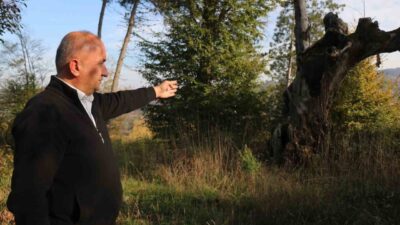 Sakarya’nın Kocaali ilçesinde yaklaşık 400 yıllık tarihe sahip olduğu öne