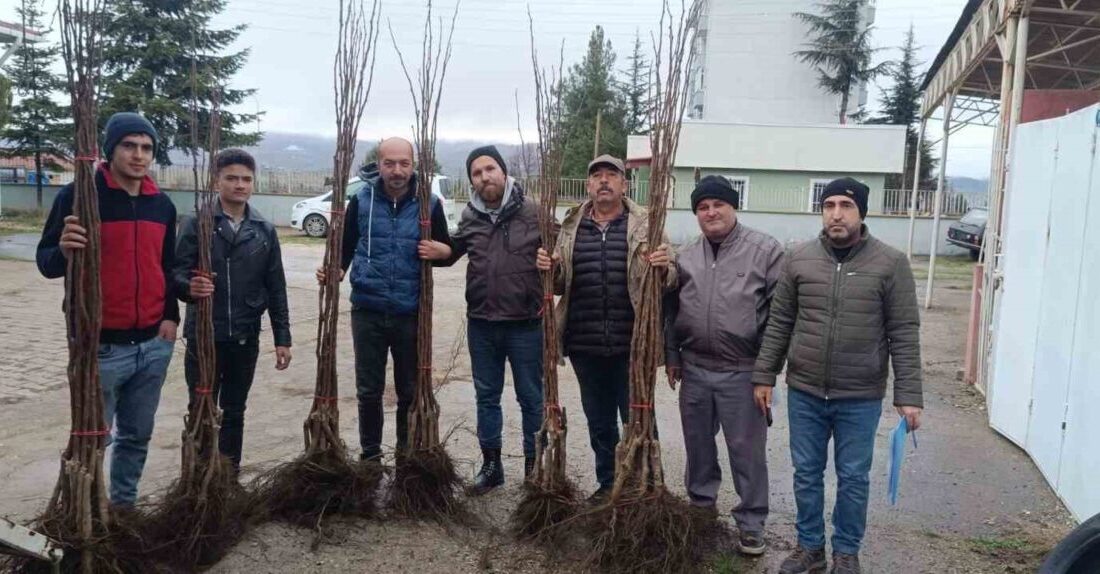 Bilecik’in Pazaryeri ilçesinde meyveciliğe güçlü destek kapsamında “Meyveciliği Geliştirme” projesi