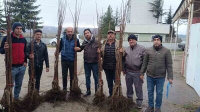 Bilecik’in Pazaryeri ilçesinde meyveciliğe güçlü destek kapsamında “Meyveciliği Geliştirme” projesi