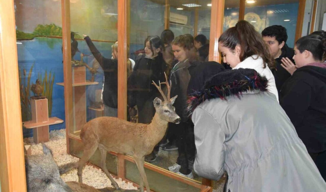Öğrenciler hayvan müzesini ilgi ile gezdi DÜZCE(İHA) – Düzce Hikmet Akın Ortaokulu öğrencileri ve öğretmenleri, Düzce