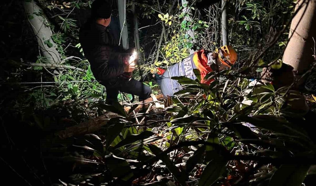 Orman işçisi için ekipler seferber oldu Sakarya’nın Arifiye ilçesinde orman kesim sahasında dengesini kaybederek düşen 24
