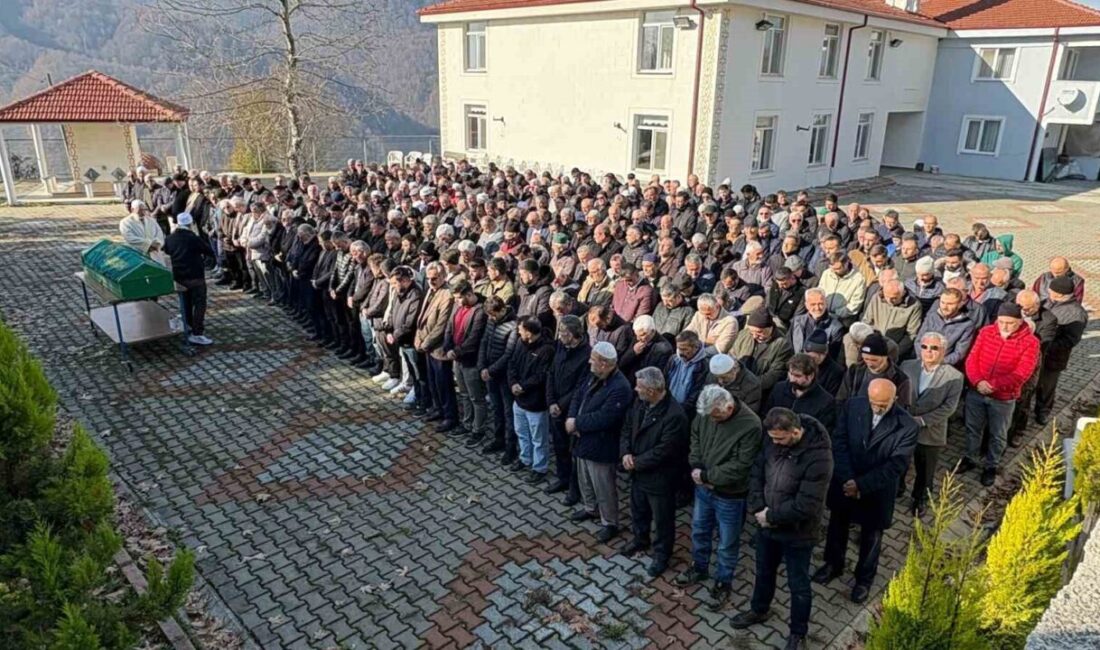 Sakarya’nın Hendek ilçesi D-100 karayolunda üst geçide yaklaşık 6 metre
