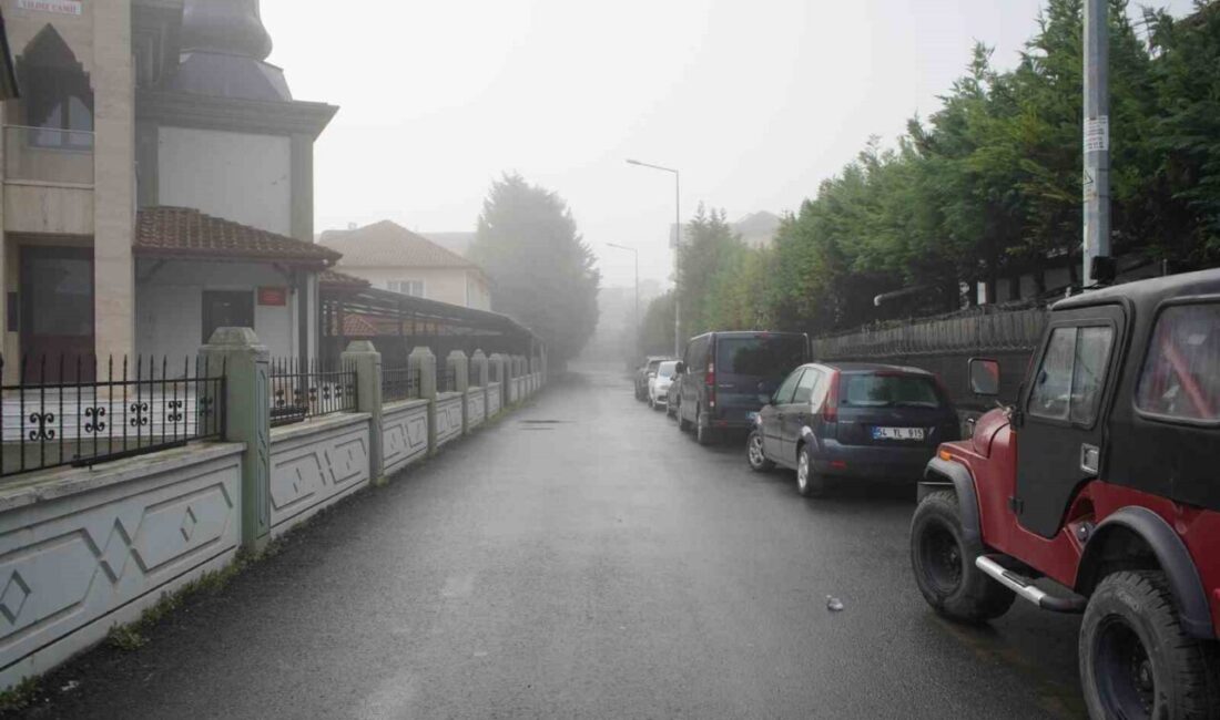 Sakarya’da sis görüş mesafesini 50 metreye düşürdü Sakarya’da etkili olan yoğun sis sebebiyle görüş mesafesi 50 metreye