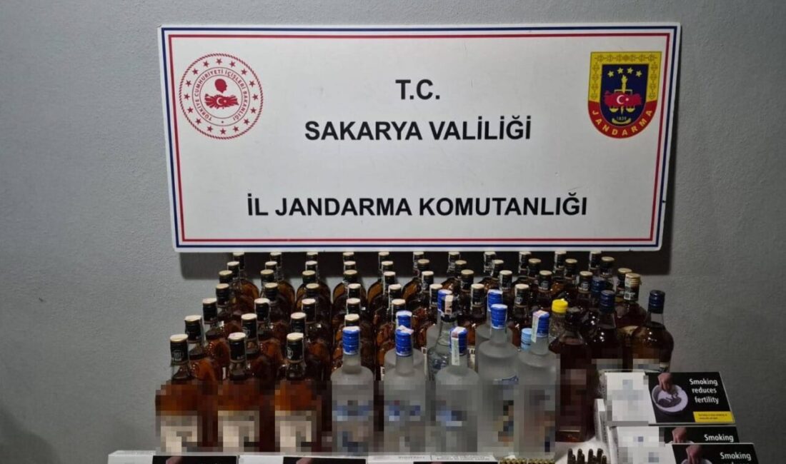 Sakarya’da jandarma tarafından, 62 ekip ve 211 personelin katılımıyla yılbaşı