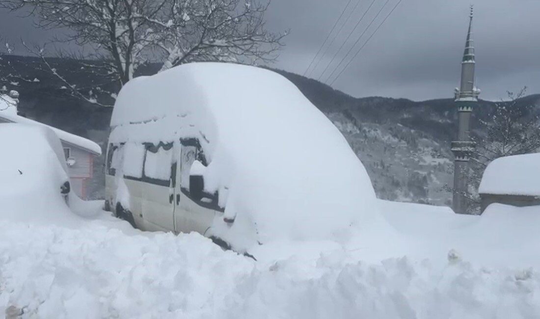 Sakarya’nın Hendek ilçesinde bulunan bin 725 rakımlı Dikmen Mahallesi’nde kar