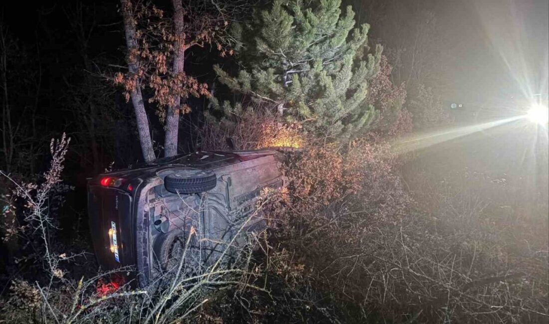 Şarampole uçan araçta bulunan 2 kişi yaralandı Bilecik’te seyir halinde kontrolden çıkan otomobil şarampole uçarken, 2 kişi