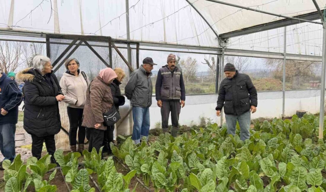 Kocaeli Büyükşehir Belediyesi bünyesindeki “Saygınlar Kulübü” üyesi 65 yaş üstü
