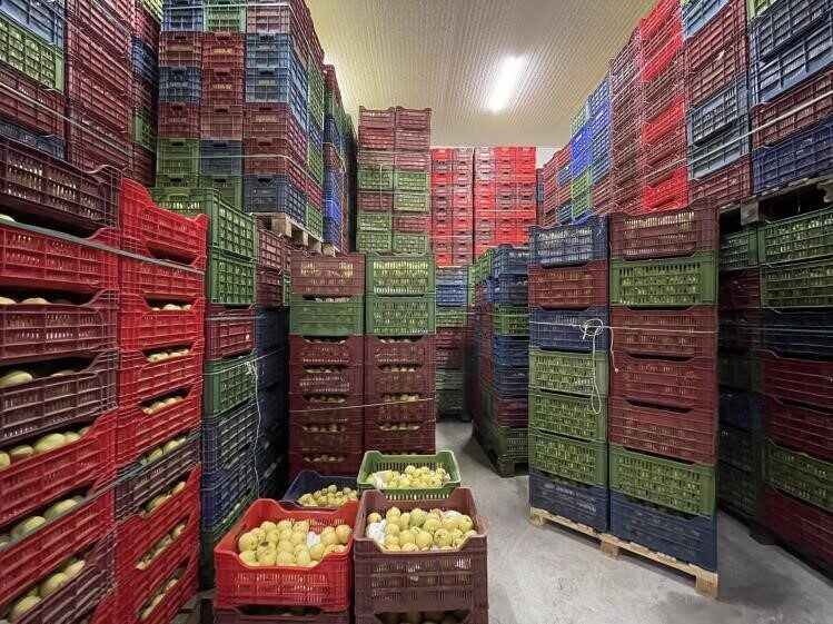 Soğuk Hava Deposu tam kapasite hizmet veriyor Bilecik’in Osmaneli ilçesinde 2025 yılında hizmete açılan soğuk hava deposu,