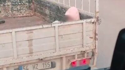 Sakarya’nın Karasu ilçesi D-650 kara yolunda soğuk havada kamyonet kasasında