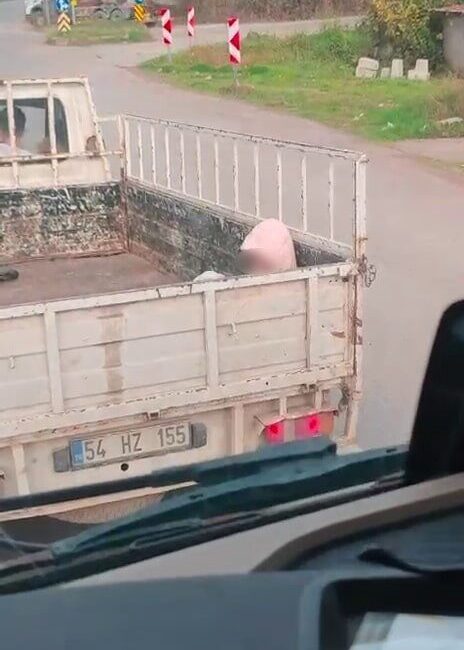 Soğuk havada yürek sızlatan yolculuk Sakarya’nın Karasu ilçesi D-650 kara yolunda soğuk havada kamyonet kasasında