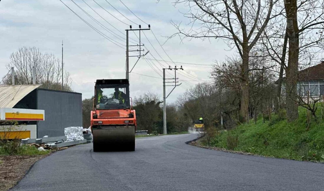 Sakarya Büyükşehir Belediyesi, kent genelinde sürdürdüğü yol yenileme çalışmaları kapsamında