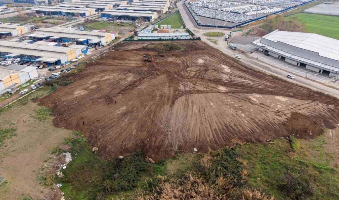 Başiskele’de, sokak hayvanlarının yaşam şartlarını iyileştirmek için Proteo Sokak Hayvanları