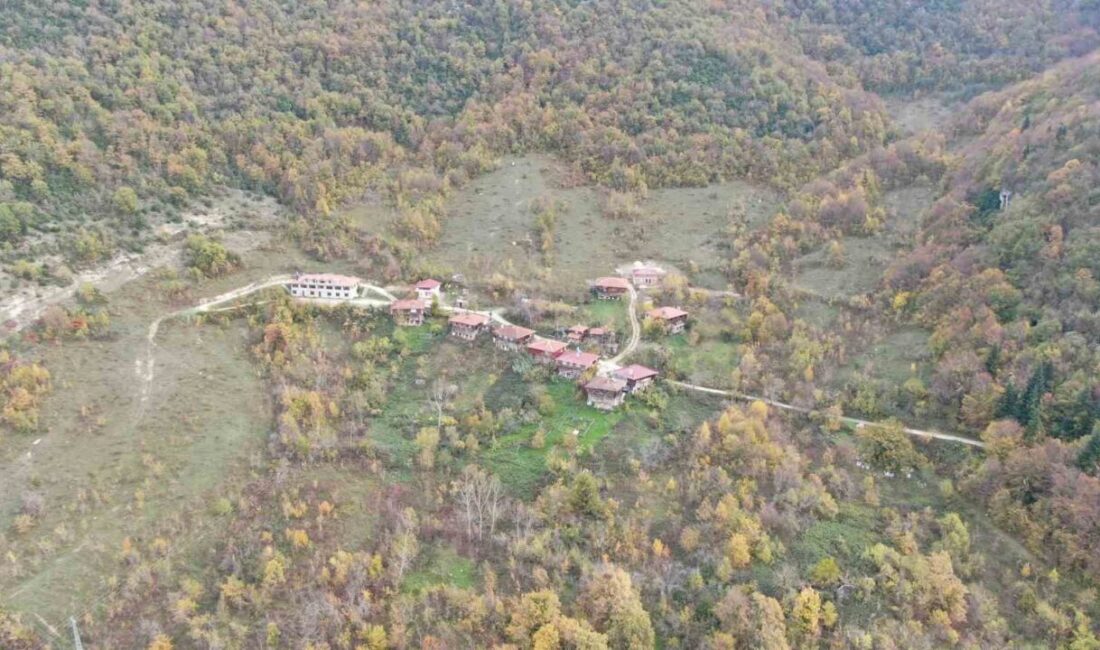 Sonbahara bürünen ormanlar ve ’çam kokulu’ evler mest ediyor Kastamonu’nun Cide ilçesinde renk cümbüşünün yaşandığı ormanlar ile aynı mimari