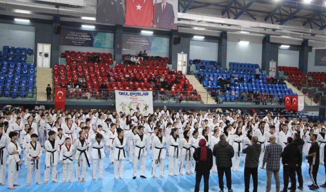 Taekwondo siyah kuşak terfi sınavları Düzce’de yapıldı Türkiye Taekwondo Federasyonu’nun 2025 yılı faaliyet programı kapsamında yer alan