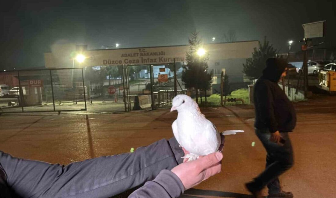 Düzce T Tipi Kapalı Ceza İnfaz Kurumunda 326 mahkum tahliye