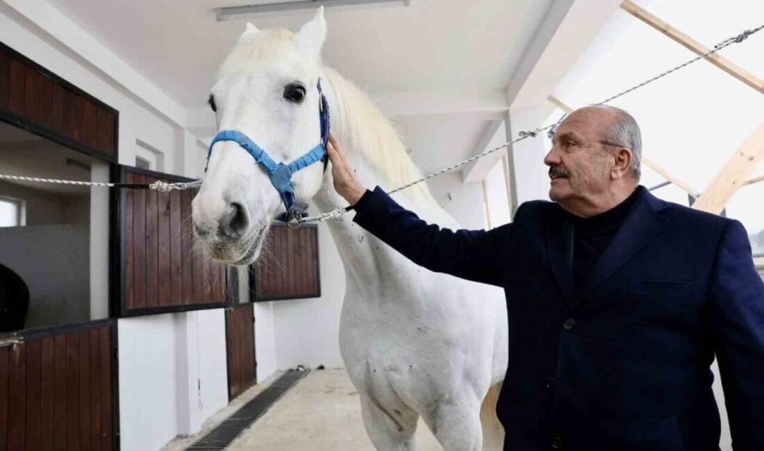 Taşköprü Belediye Başkanı Hüseyin Arslan, ilçeye kurulması planlanan atlı turizm