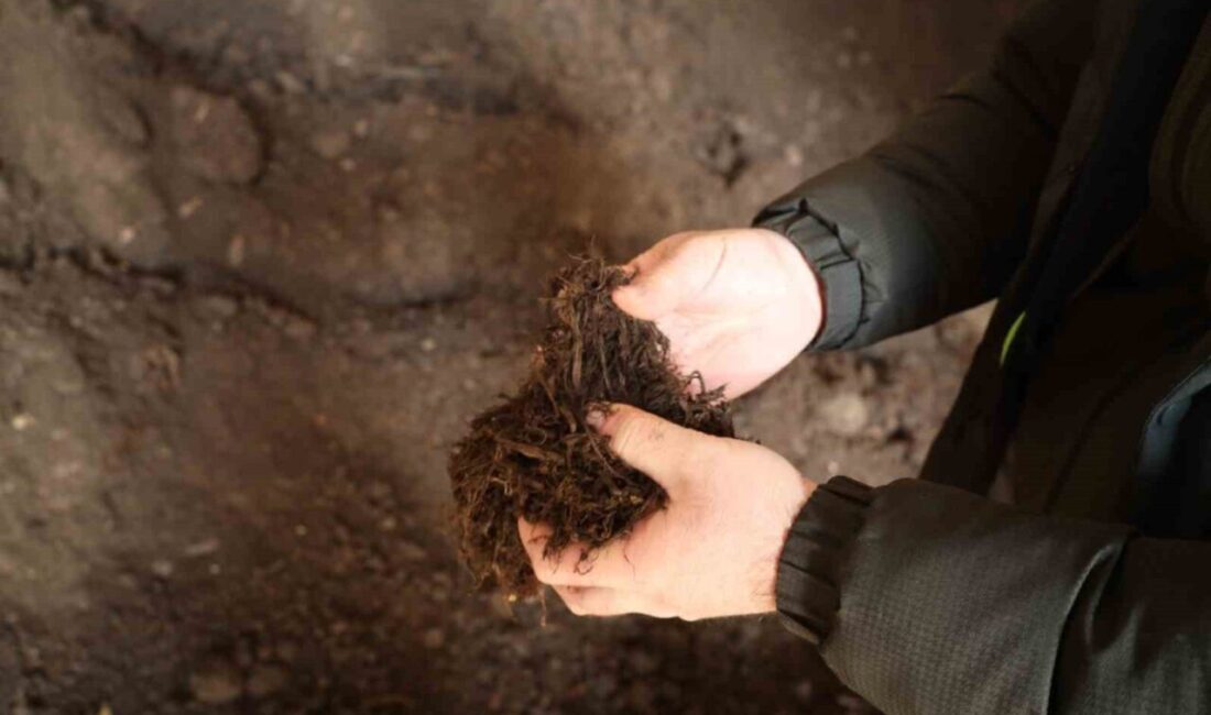 Kocaeli Büyükşehir Belediyesi, kendi fidanlığında gerçekleştirdiği torf üretimiyle hem bitkilerin